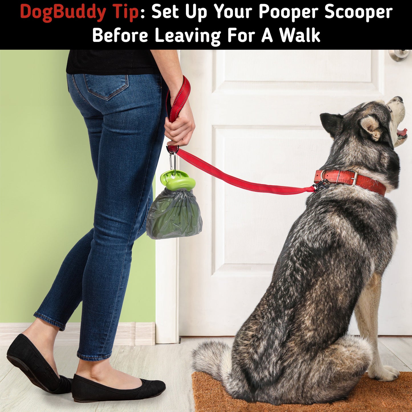Pooper Scooper, Medium